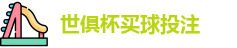 足球世界俱乐部杯2025